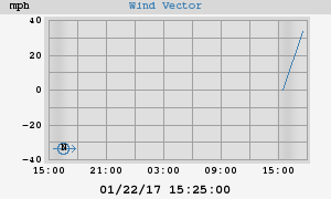 Wind Vector